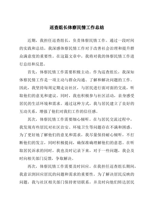 巡查组长体察民情工作总结