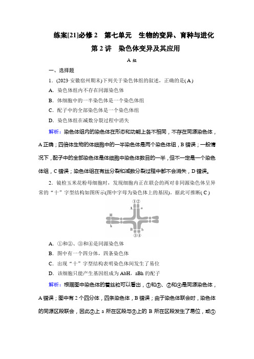 2023年高考生物一轮考点复习必修2第七单元第2讲染色体变异及其应用