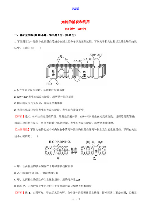 高考生物大一轮复习 3.2.3光能的捕获和利用课时作业 中图版必修1-中图版高三必修1生物试题