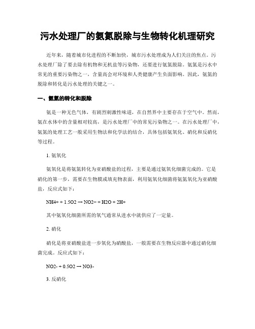 污水处理厂的氨氮脱除与生物转化机理研究