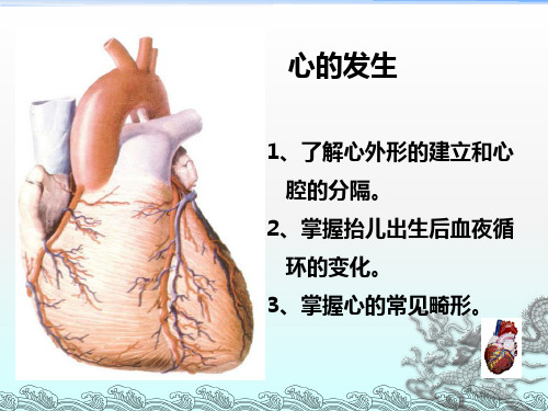 《心的发生》ppt课件