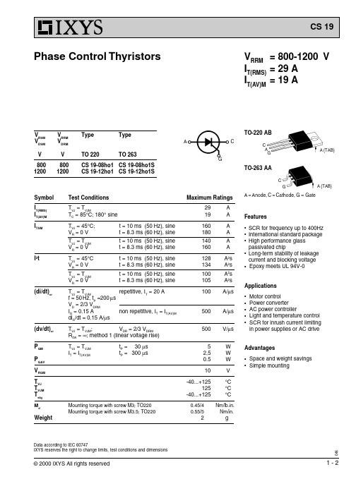 CS19-12HO1中文资料