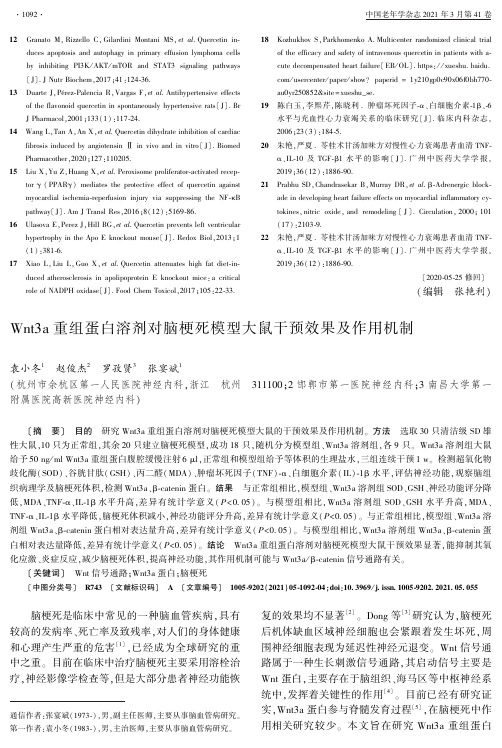 Wnt3a重组蛋白溶剂对脑梗死模型大鼠干预效果及作用机制