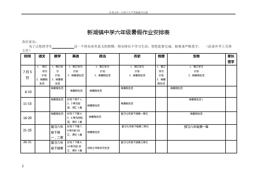 六年级数学暑假作业安排王成器