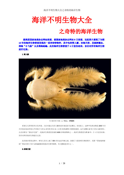 海洋不明生物大全之奇特的海洋生物