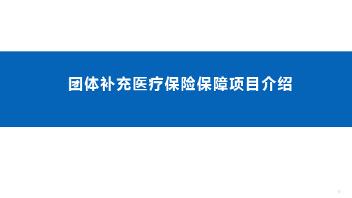 团体补充医疗保障项目介绍