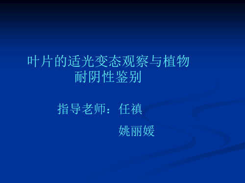 叶片的适光变态观察与植物耐阴性鉴别