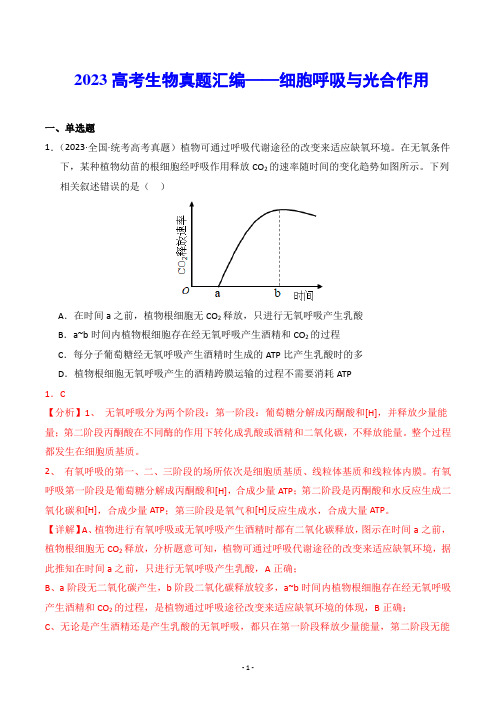 【高考生物】2023高考生物真题汇编——细胞呼吸与光合作用