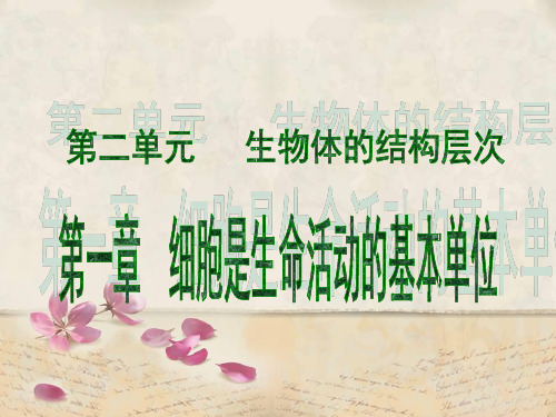 人教版七年级上册生物 第二单元 生物体的结构层次 复习课件