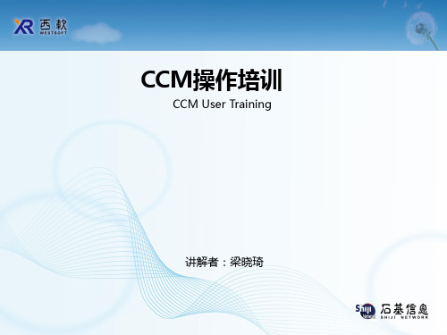 CCM培训课件