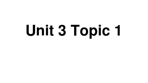 +Unit+3+Topic+1+复习课件+2023-2024学年仁爱版八年级英语上册