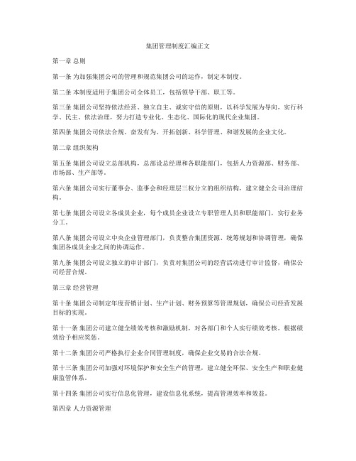 集团管理制度汇编正文