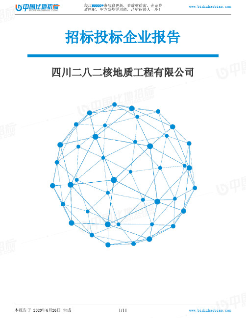 四川二八二核地质工程有限公司-招投标数据分析报告