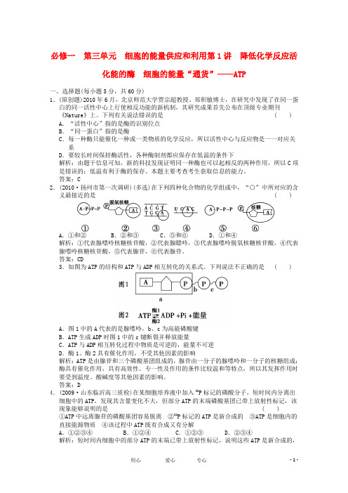 高考生物总复习 降低化学反应活化能的酶 细胞的能量“通货” ATP精品练习 必修1