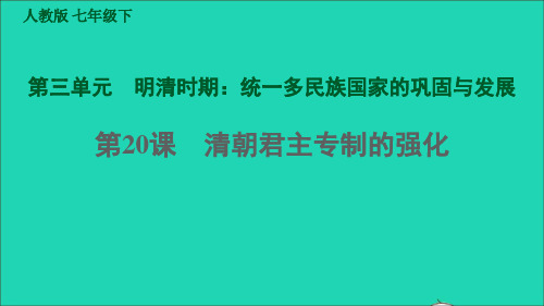 七年级历史下册第三单元明清时期：统一多民族国家的巩固与发展第20课清朝君主专制的强化课件新人教版