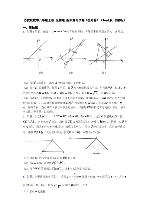 苏教版数学八年级上册 压轴题 期末复习试卷(提升篇)(Word版 含解析)