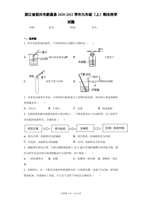 浙江省绍兴市新昌县2020-2021学年九年级(上)期末科学试题(word版 含答案)