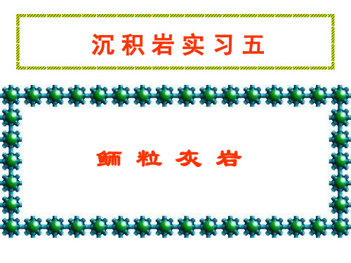 实习7鲕粒灰岩资料