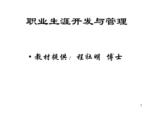 职业生涯完整版