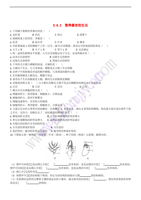 七年级生物上册 3_6_2 营养器官的生长同步练习 (新版)北师大版1