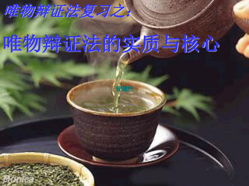 唯物辩证法复习之唯物辩证法的实质与核心PPT课件 人教课标版