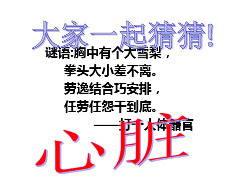 人教版初中七年级下册生物 第四单元 生物圈中的人 第四章 人体内物质的运输 输送血液的泵─心脏