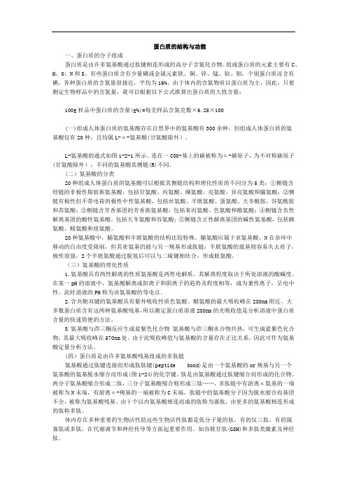 蛋白质的结构与功能