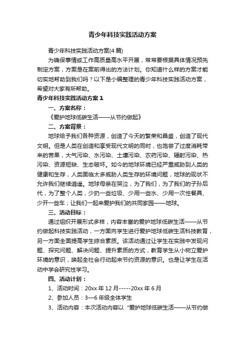 青少年科技实践活动方案