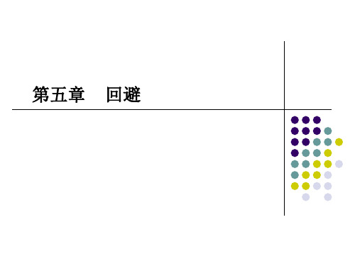 第五章回避程序