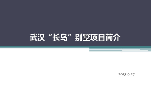 武汉长岛别墅项目简介