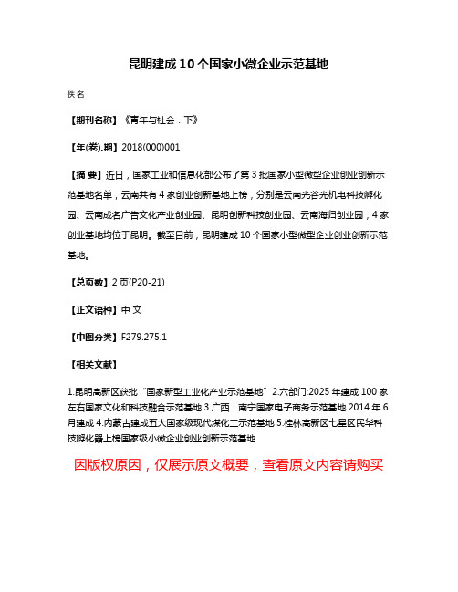 昆明建成10个国家小微企业示范基地