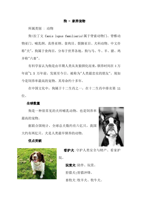 部编人教版三年级语文上册第四单元 14.不会叫的狗(相关资料)