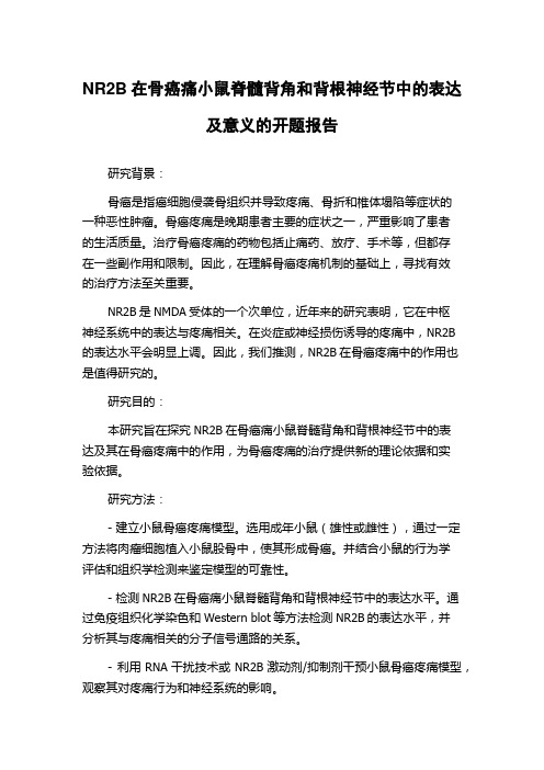 NR2B在骨癌痛小鼠脊髓背角和背根神经节中的表达及意义的开题报告