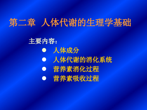 人体代谢生理学基础