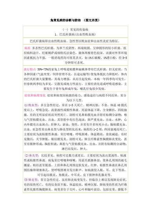 兔常见病的诊断与防治 (1)