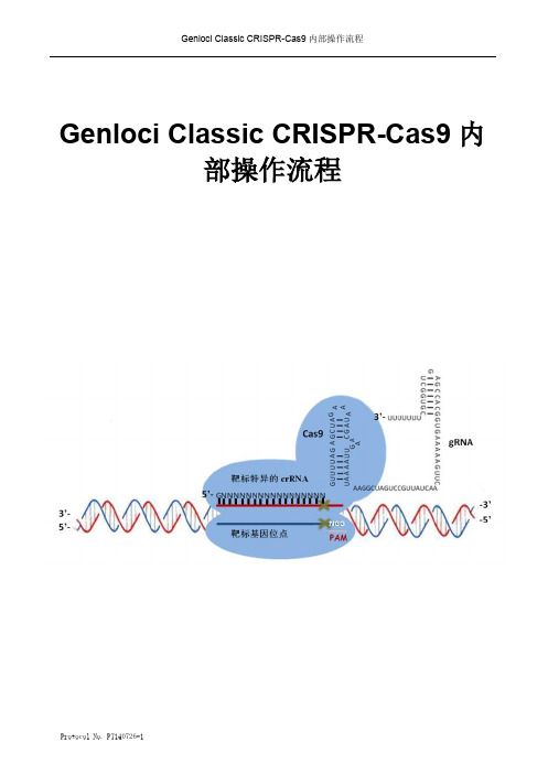 (仅供参考)某公司内部的CRISPR-Cas9操作流程