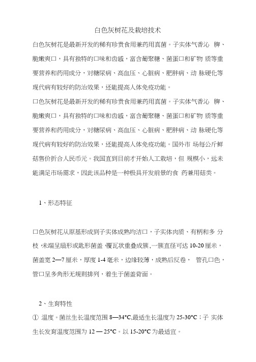 白色灰树花及栽培技术