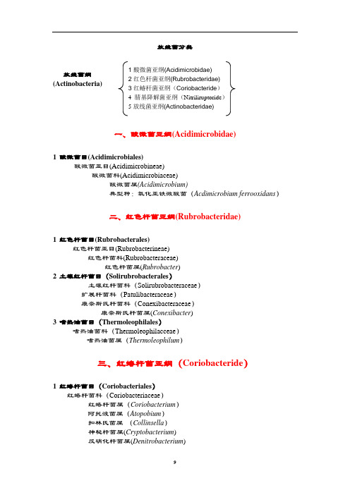 放线菌分类-完整