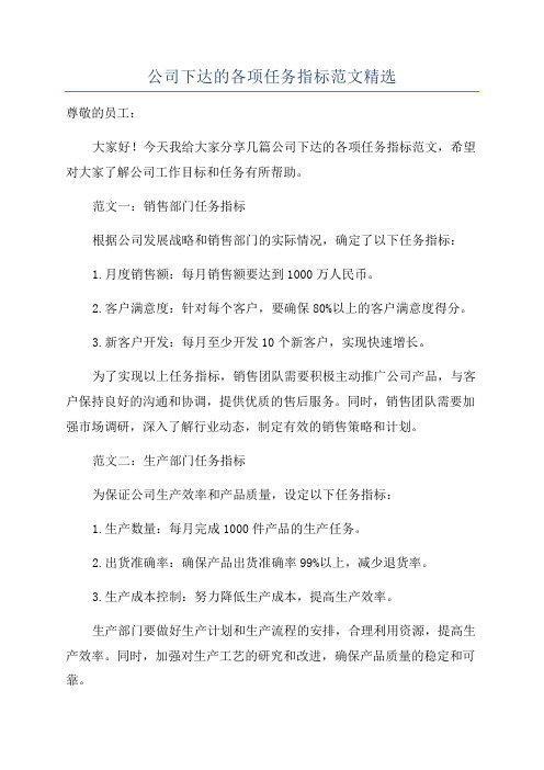 公司下达的各项任务指标范文精选