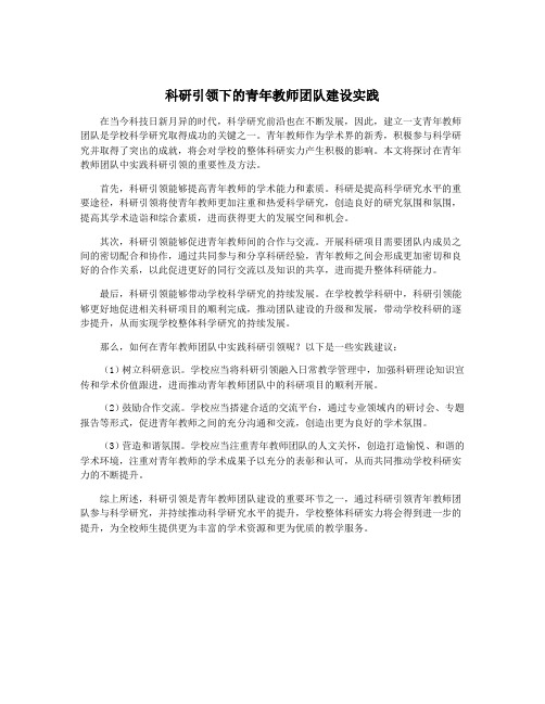 科研引领下的青年教师团队建设实践