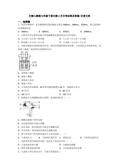 生物人教版七年级下册生物4月月考试卷及答案-百度文库 (2)