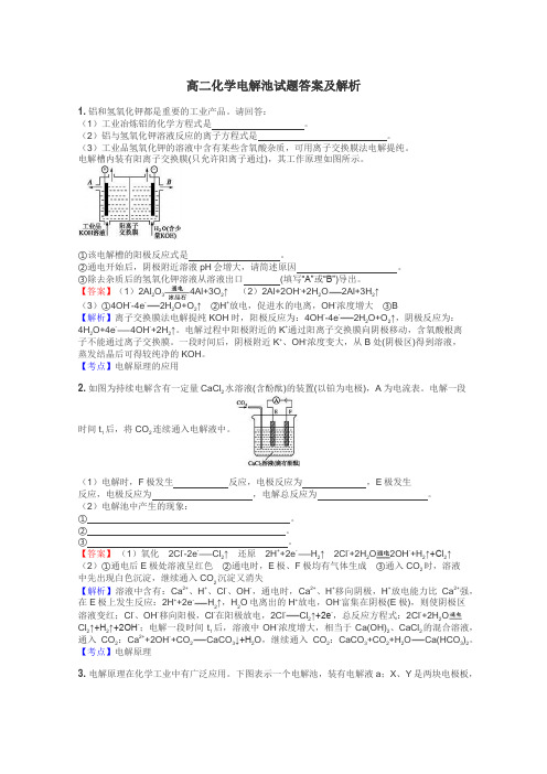 高二化学电解池试题答案及解析
