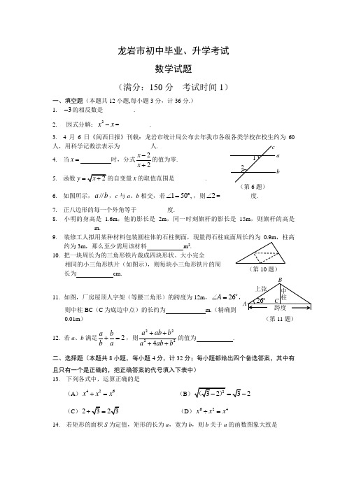 福建龙岩(含答案).doc