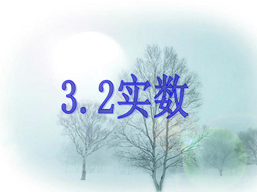 新浙教版3.2实数