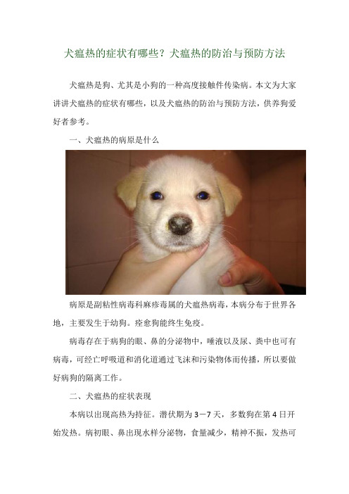 犬瘟热的症状有哪些？犬瘟热的防治与预防方法