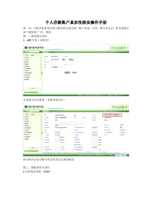 个人存款账户真实性核实操作手册