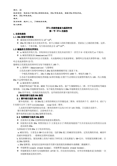 DNA的损伤修复与基因突变