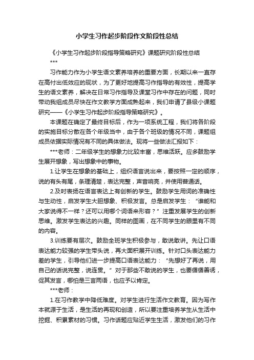 小学生习作起步阶段作文阶段性总结