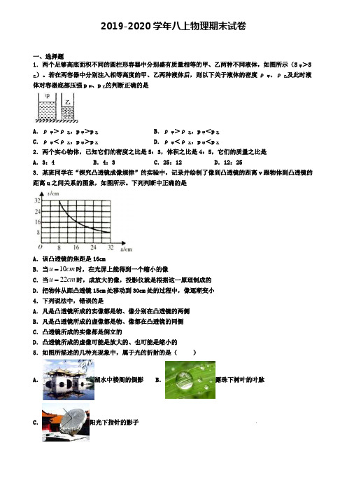 〖精选4套试卷〗福建省厦门市2020年初二(上)物理期末质量跟踪监视模拟试题