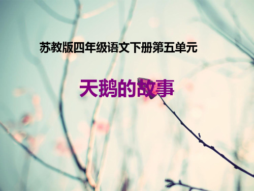 天鹅的故事_2PPT课件